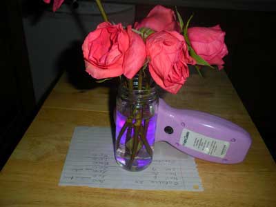 scalar wave laser, roses