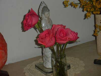 scalar wave laser, roses