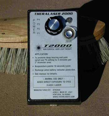 Theralaser T2000, equine laser, equine laser therapy, Equine low level laser, lasers for horses, cold lasers for horses